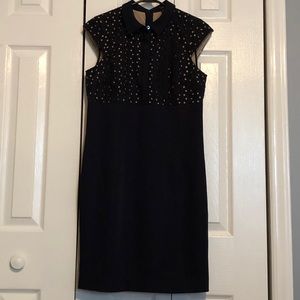 Ann Taylor Petite Dress